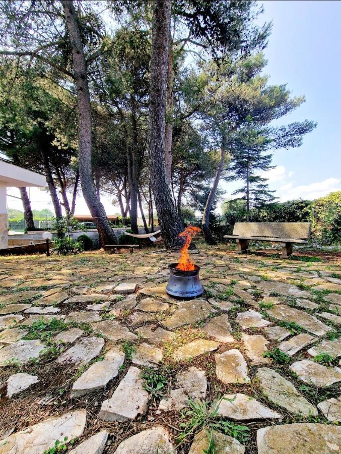 Villa Elisa Trulliandmore - Pool And Tennis Court Martina Franca Buitenkant foto