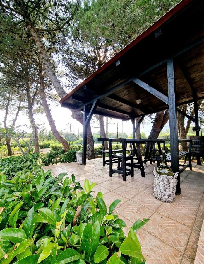 Villa Elisa Trulliandmore - Pool And Tennis Court Martina Franca Buitenkant foto